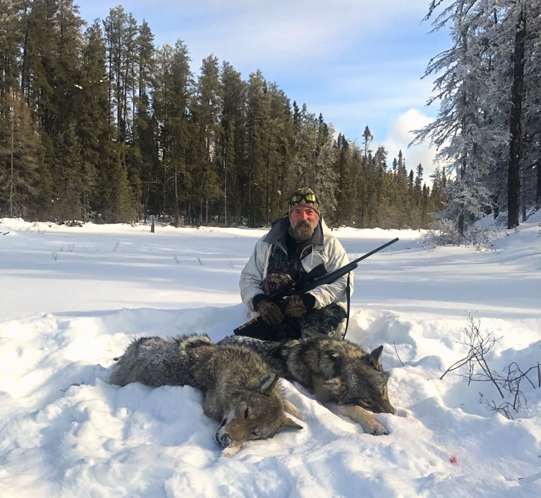 wolf hunting